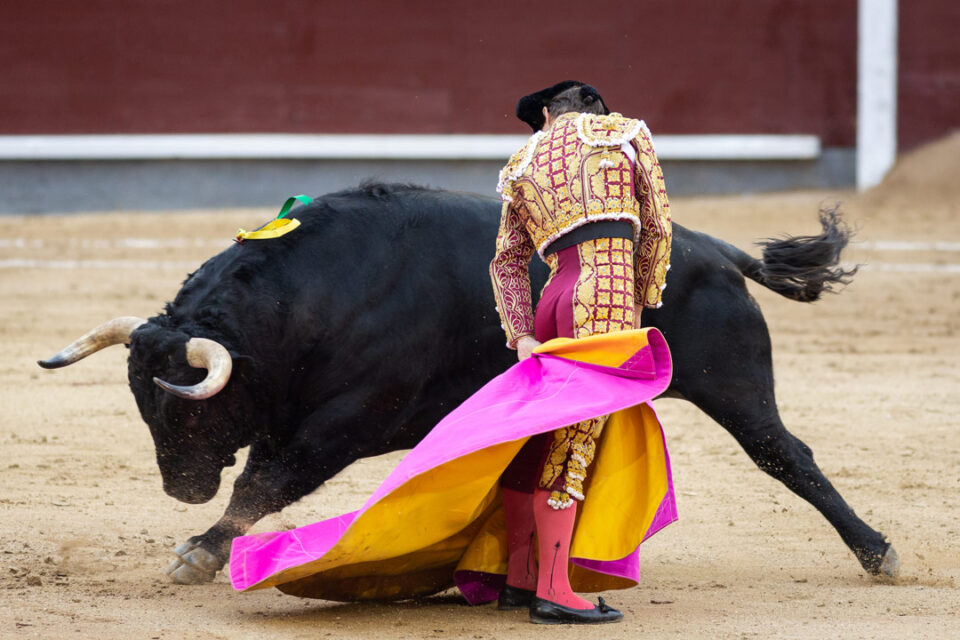 Bullfighting In Spain Nohara Estates Spain